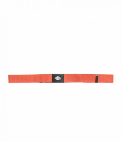 Dickies Original Work Belt Kangasvyö 120cm Oranssi
